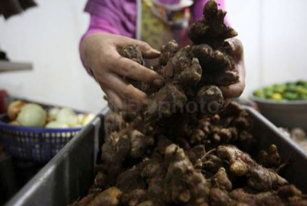 Harga Jahe Mahal, Ini...