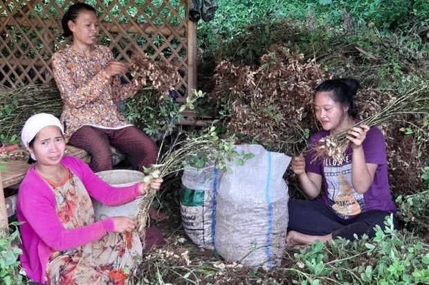 Peran Perempuan Dinilai...