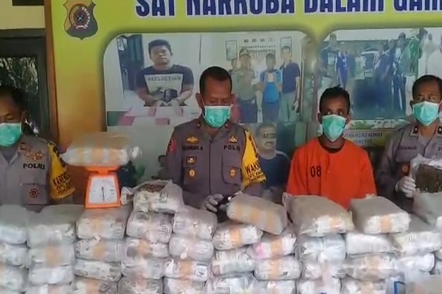 Polisi Amankan 240 Bal...