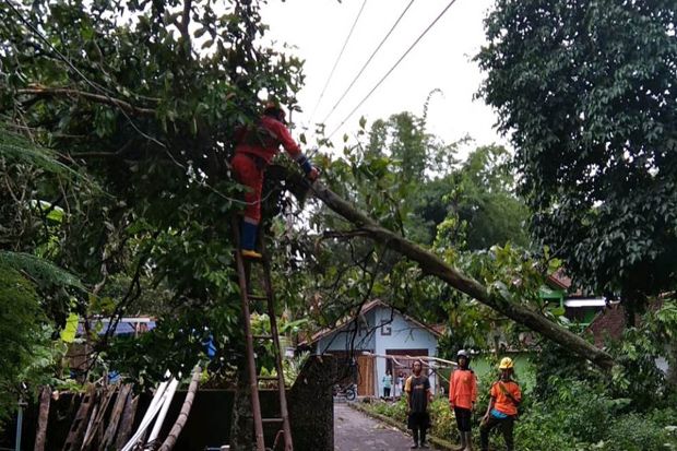 Hujan Angin Tumbangkan...