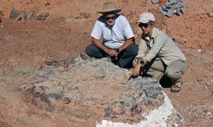 Ditemukan 8 Fosil Dinosaurus...