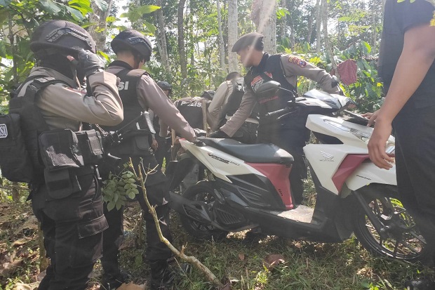 Bak Perang Kota, Tim...