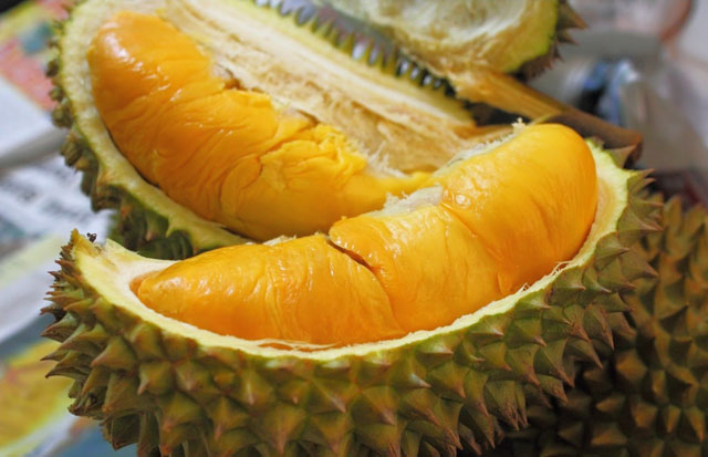 Jangan Takut Makan Banyak,...