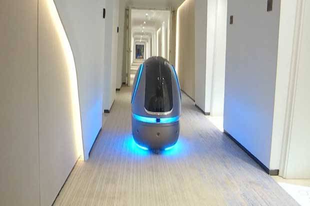 Di Hotel FlyZoo, Robot...