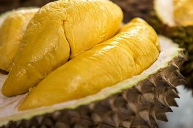 Makan Durian Yuk, Bisa...