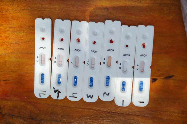 Hasil Rapid Test 6 Pengangkat...