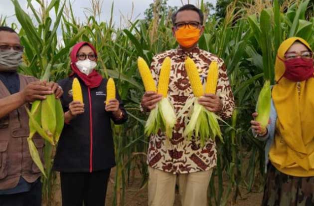 Sulsel Jaga Stok Pangan...