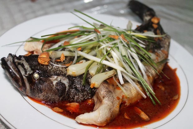 Steam Ikan Betutu, Kuliner...