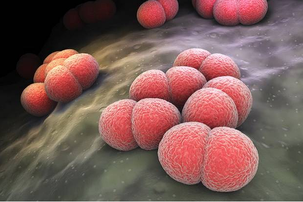 Mengenal Meningitis...