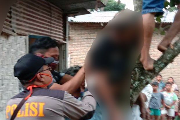 Petani di Simalungun...