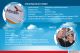 Perusahaan Terbesar...