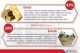 10 Investasi yang Paling...