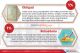 10 Investasi yang Paling...