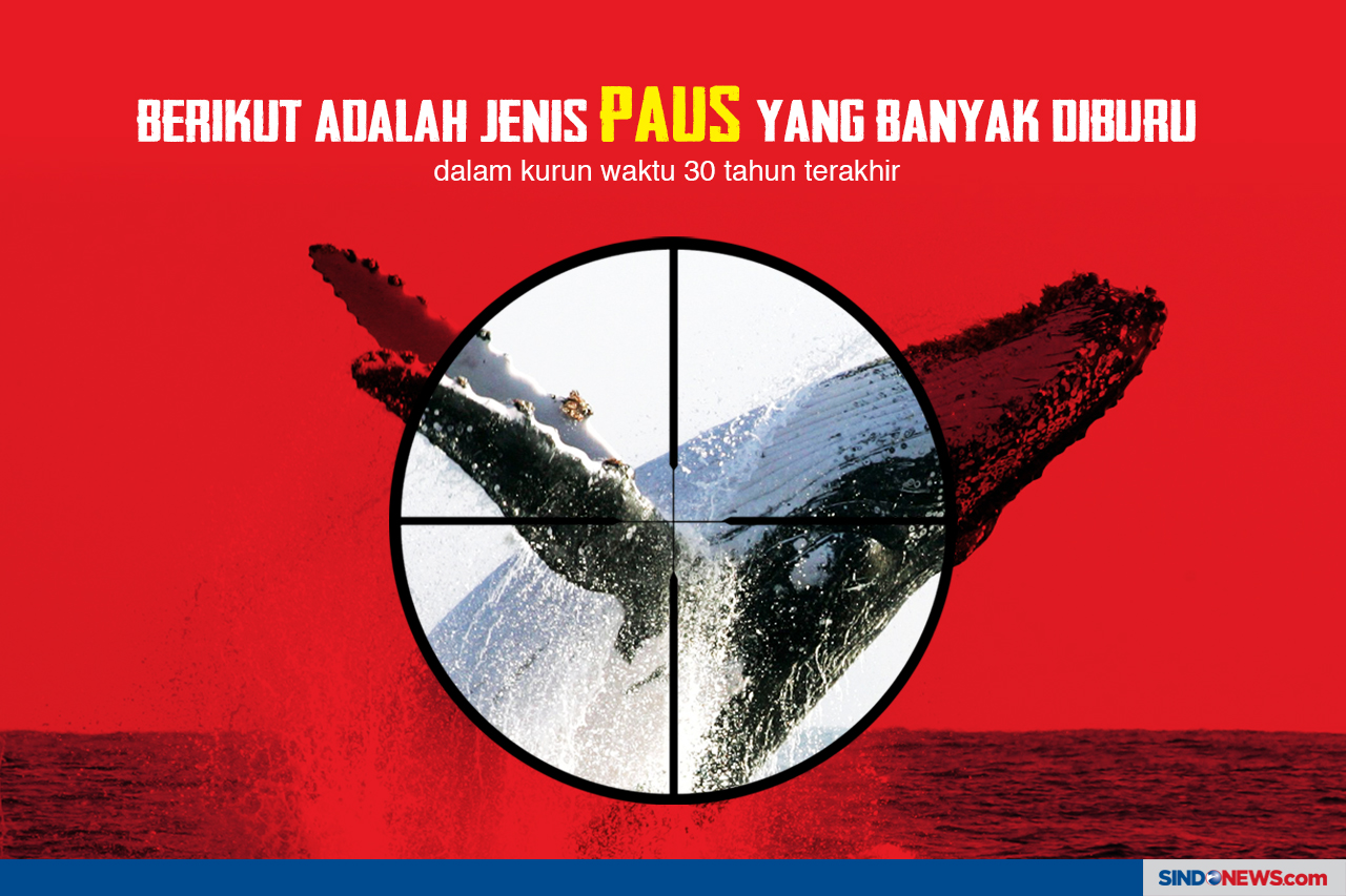 Nasib Paus Kembali Terancam...