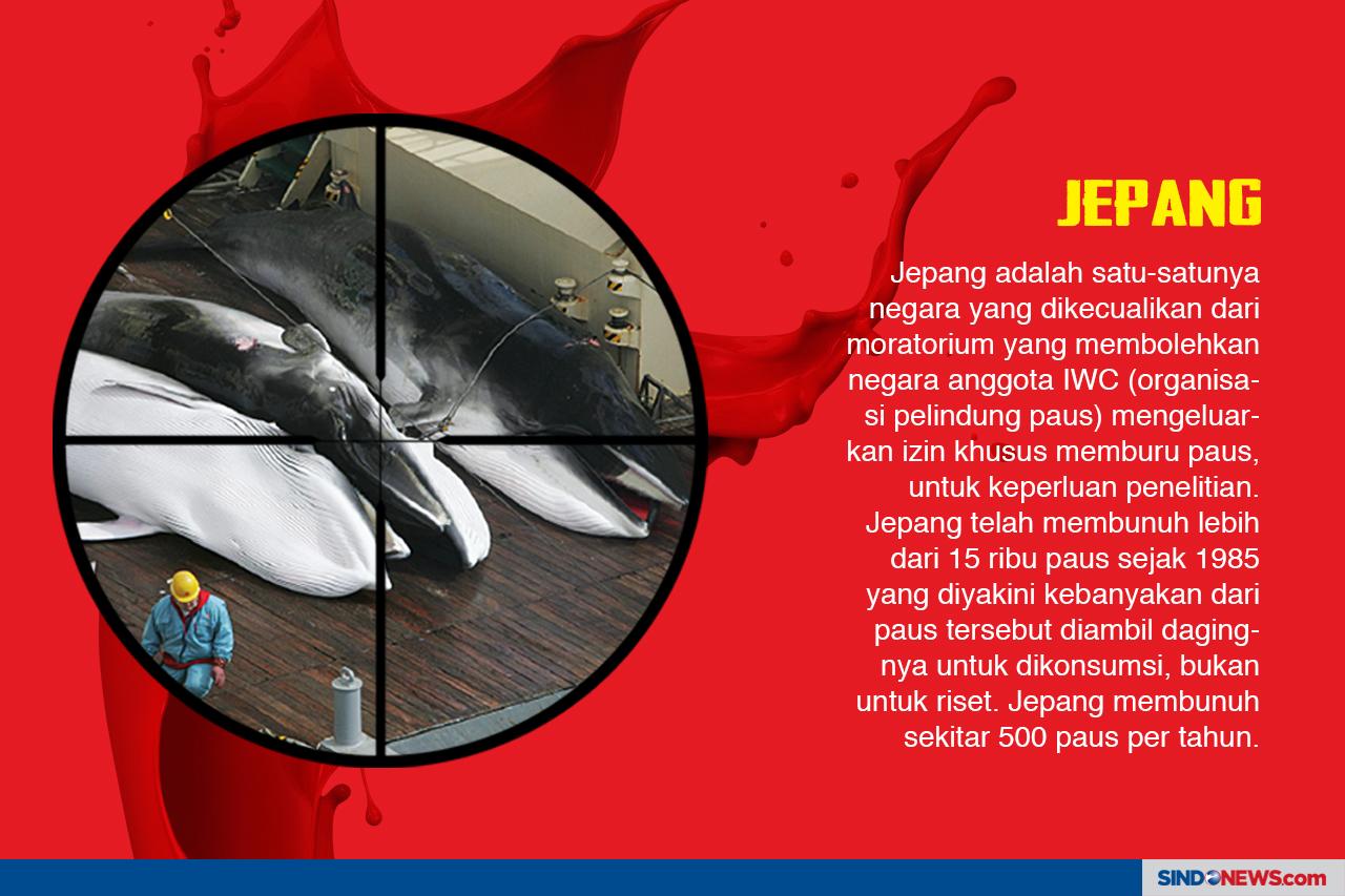 Nasib Paus Kembali Terancam...