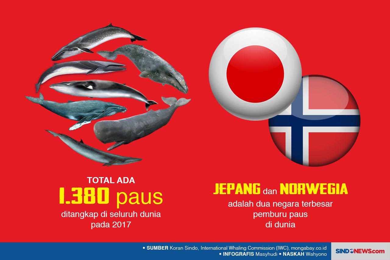 Nasib Paus Kembali Terancam...