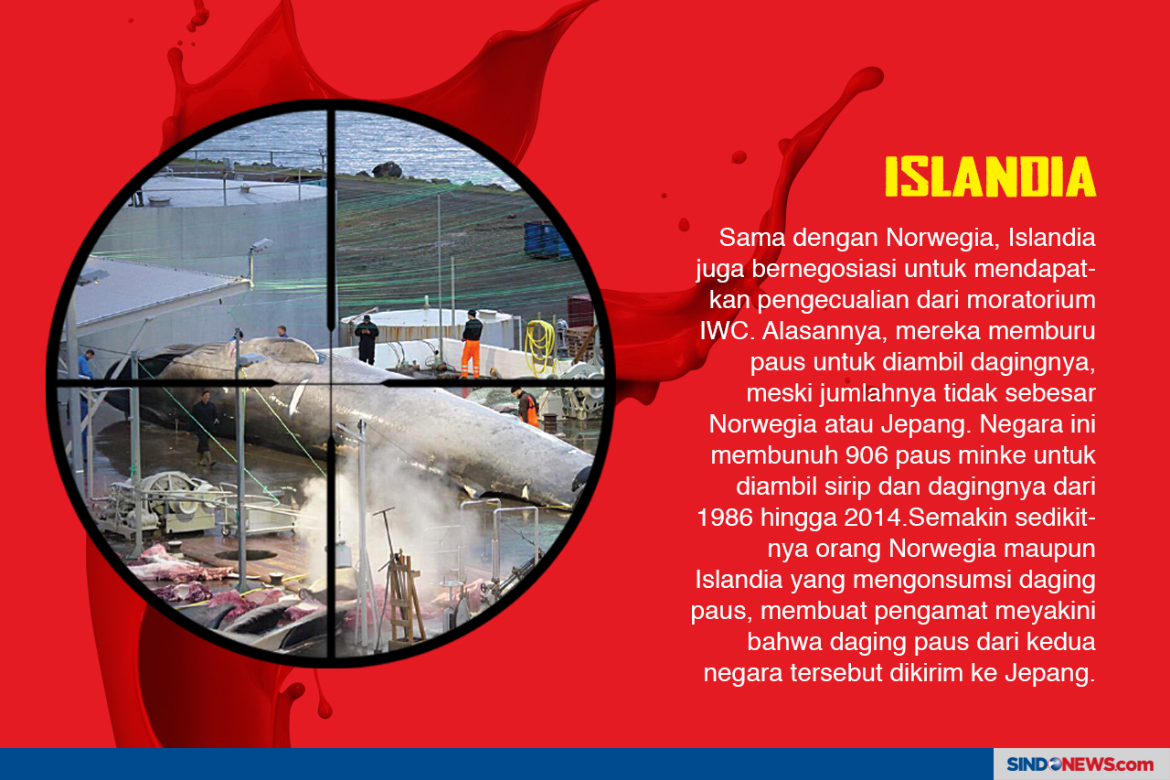 Nasib Paus Kembali Terancam...
