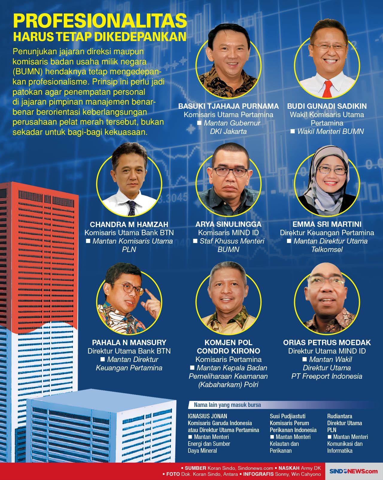 Profesionalitas di BUMN...