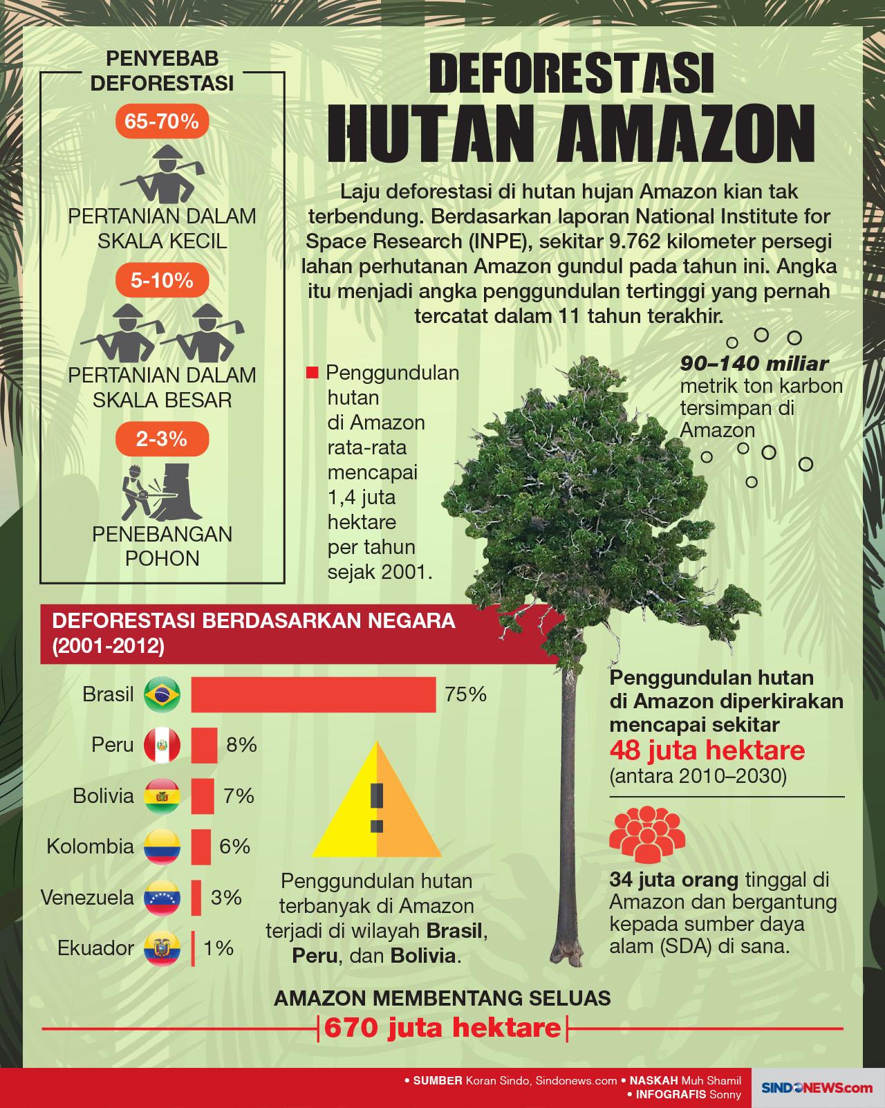 Kondisi Hutan Amazon...