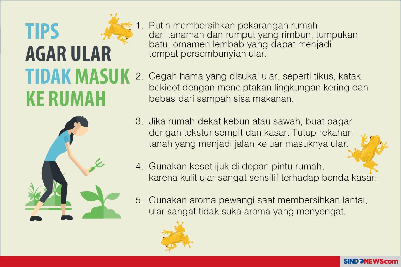 Ular, Semakin Cantik...