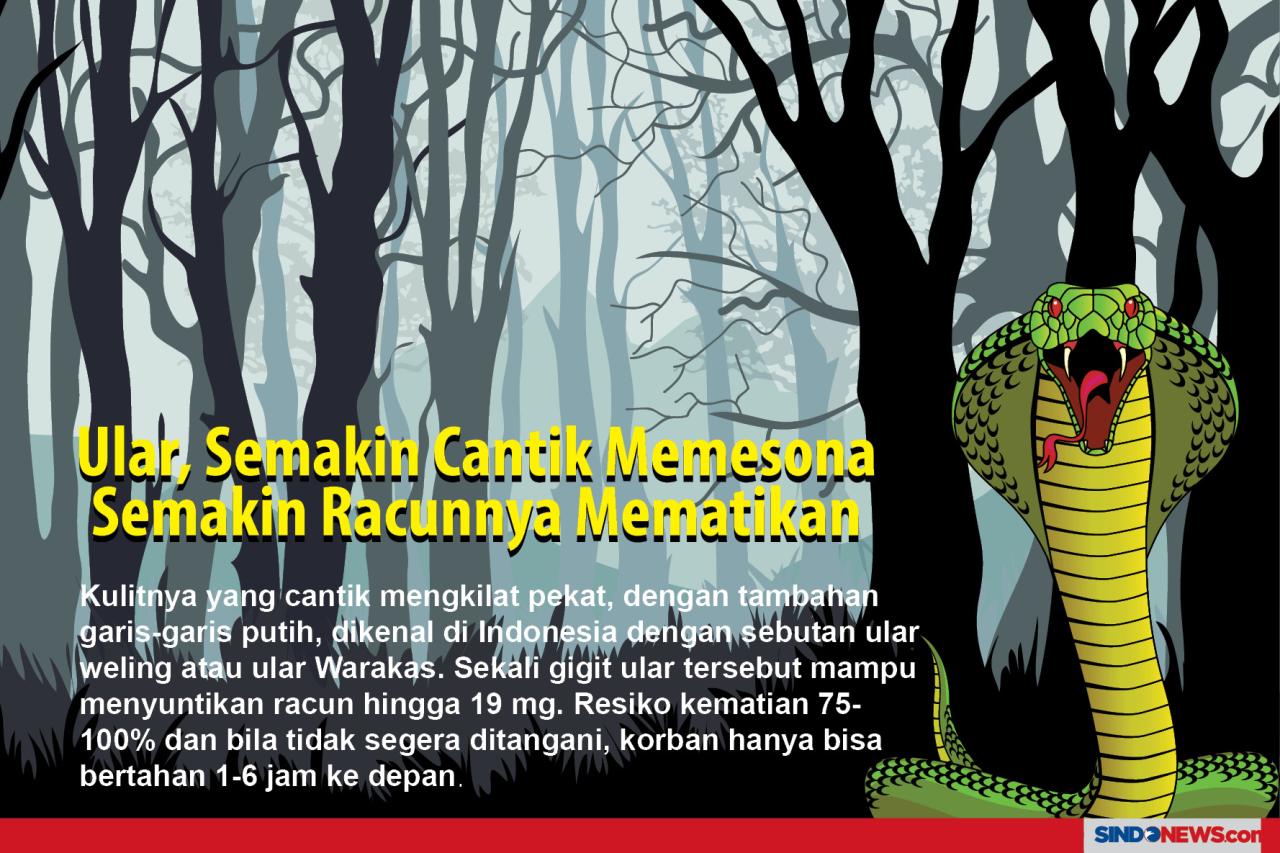 Ular, Semakin Cantik...
