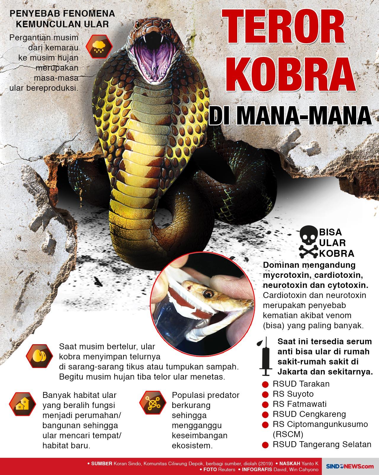 Musim Hujan Tiba, Ular...