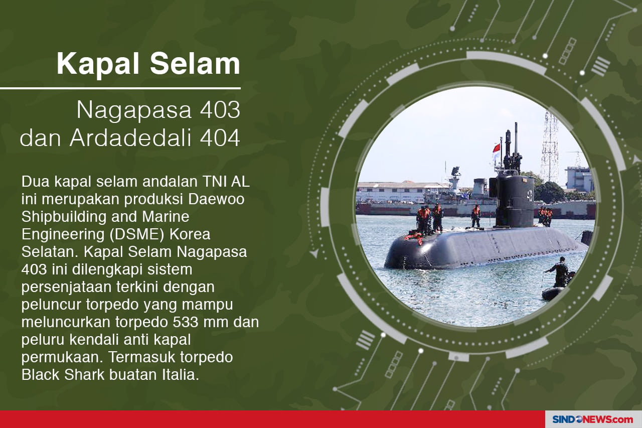 TNI Miliki 7 Alutsista...