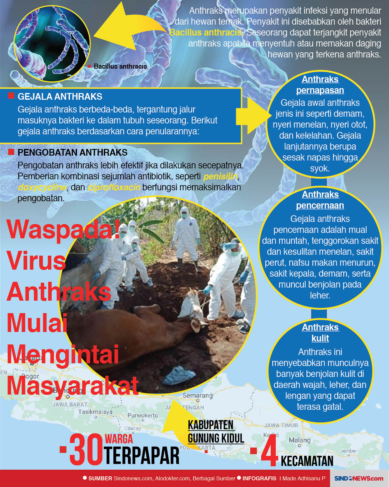 Waspada! Virus Anthraks...