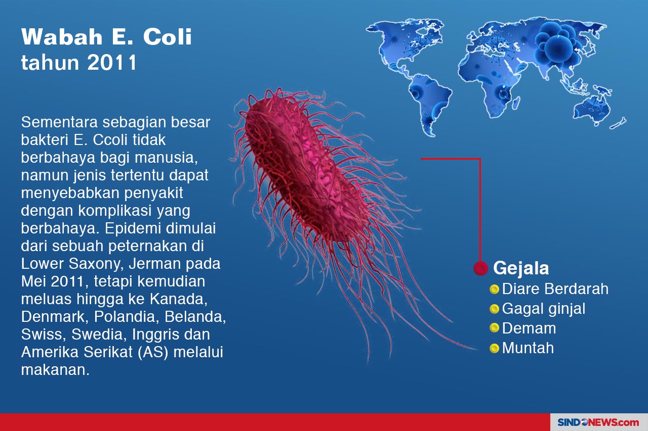 Ini 5 Virus Wabah Mematikan...
