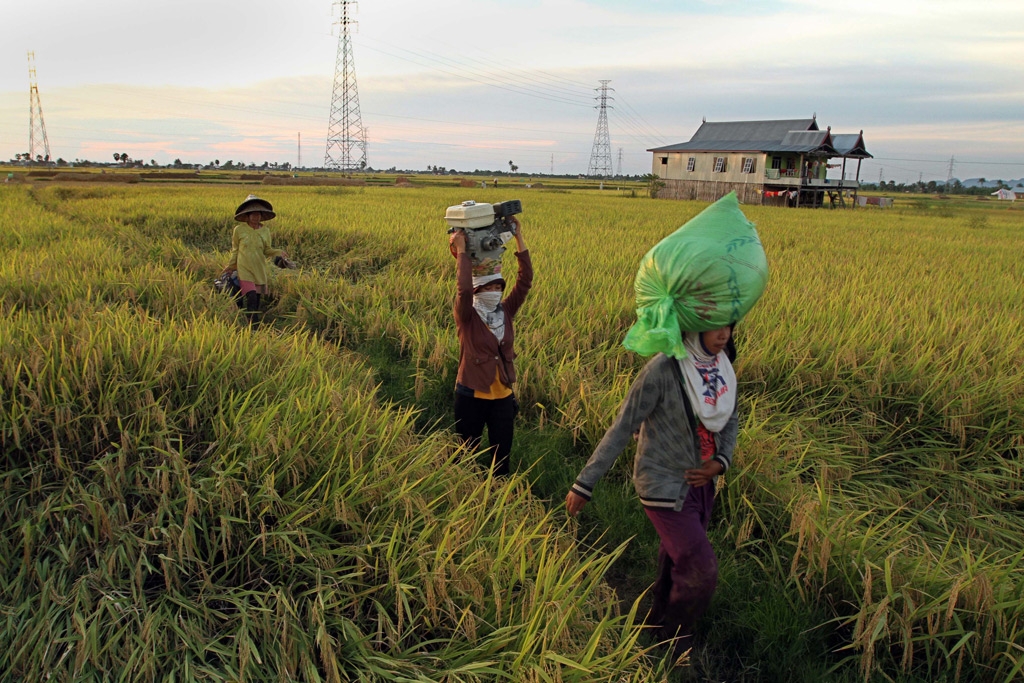 Semangat Kartini petani