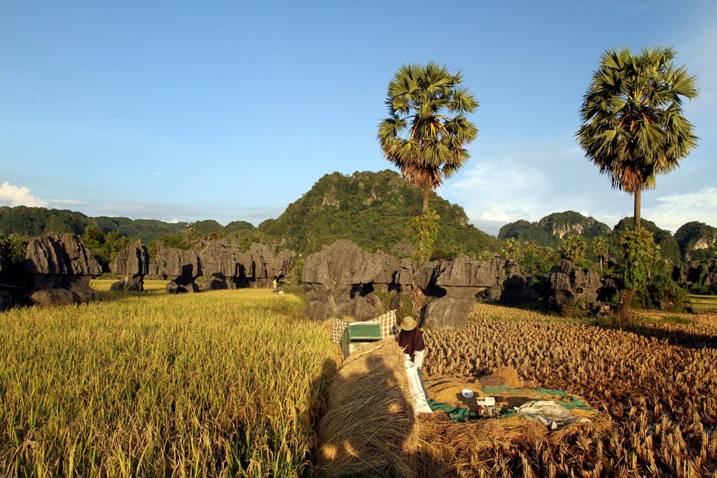 Semangat Kartini petani