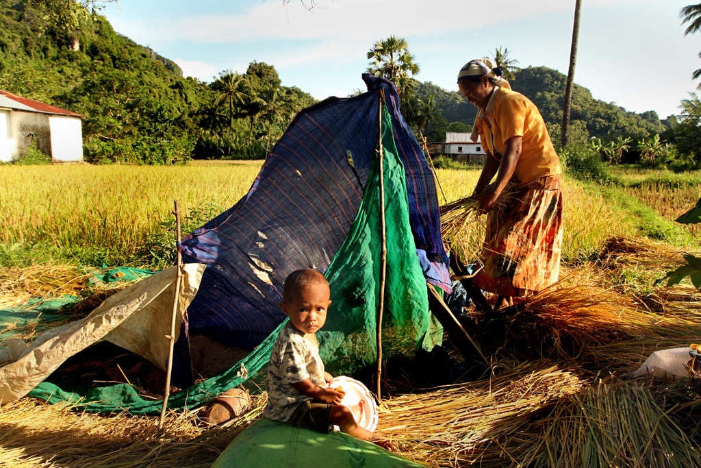 Semangat Kartini petani