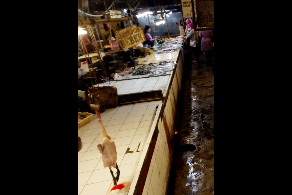 PEDAGANG DAGING AYAM...