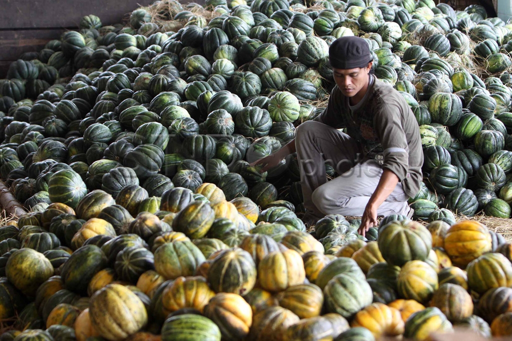 Blewah Buah di Bulan...