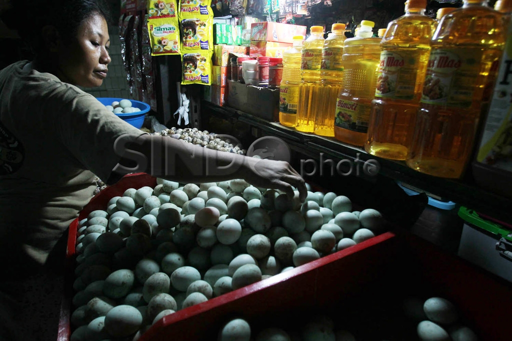 Persedian Telur di Bulan...