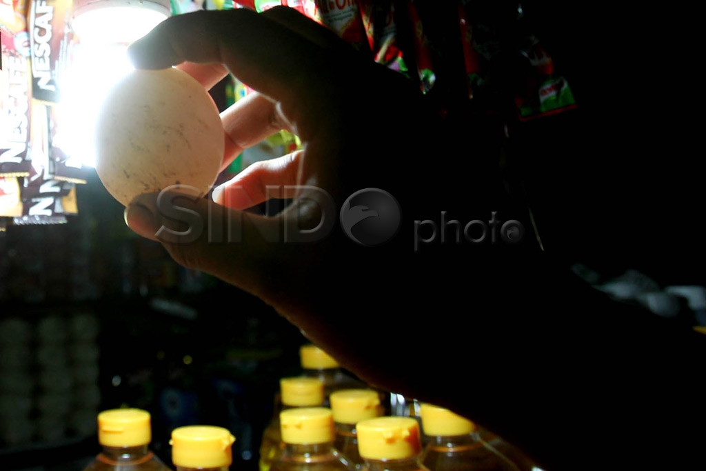 Persedian Telur di Bulan...