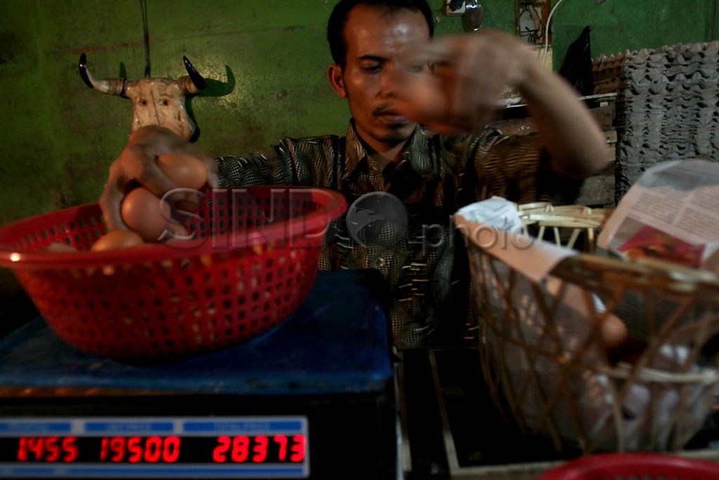Persedian Telur di Bulan...