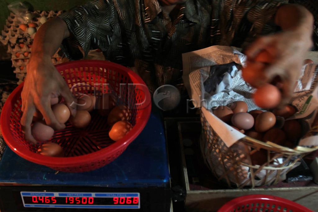 Persedian Telur di Bulan...