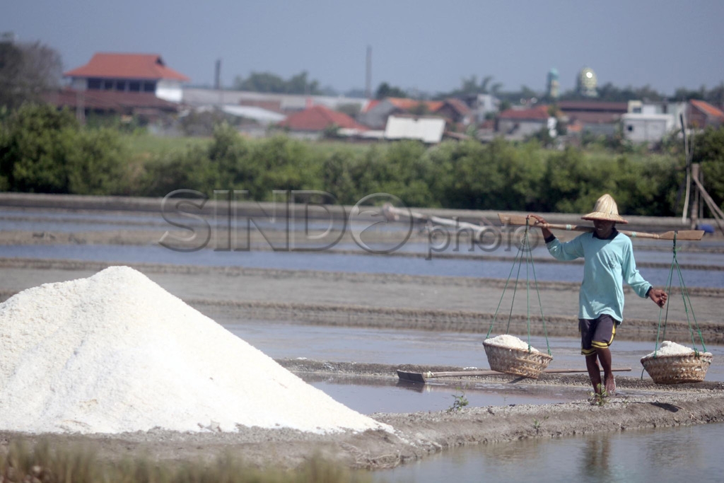 Harga Garam Turun
