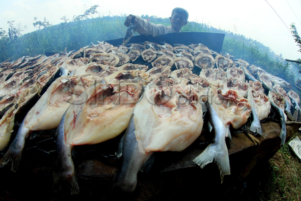 Ikan Salai