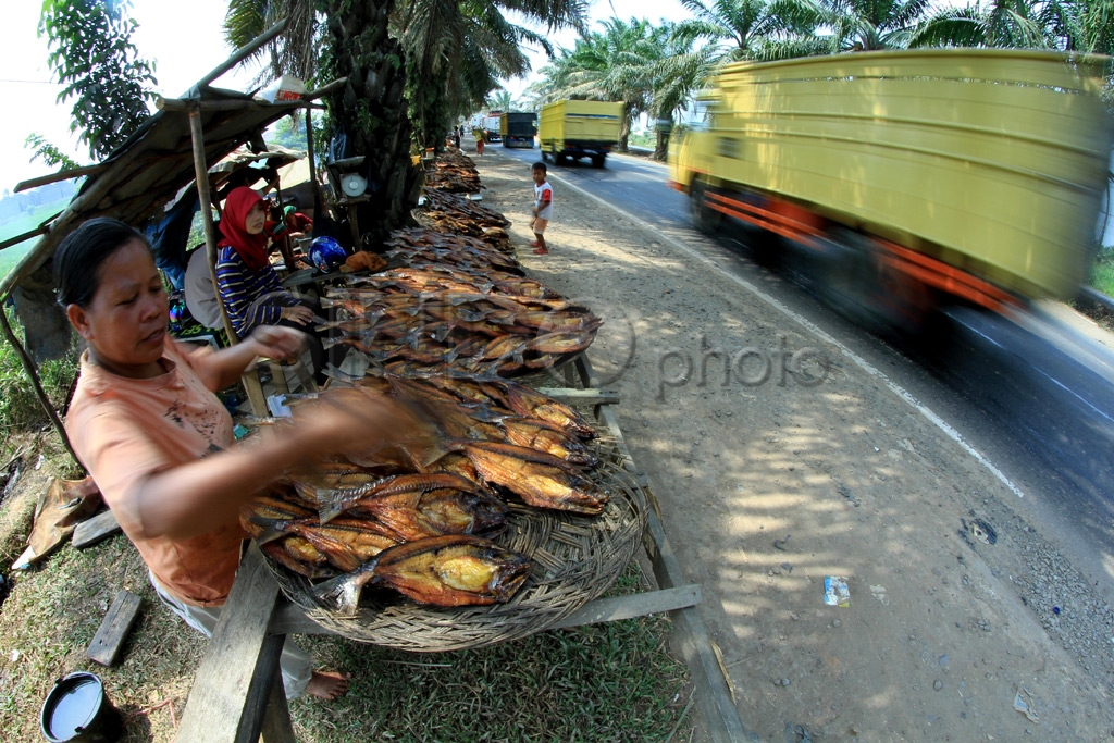 Ikan Salai