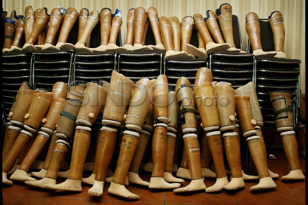 Kaki Palsu