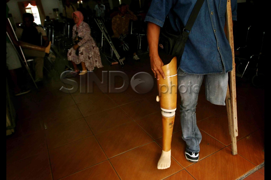Kaki Palsu