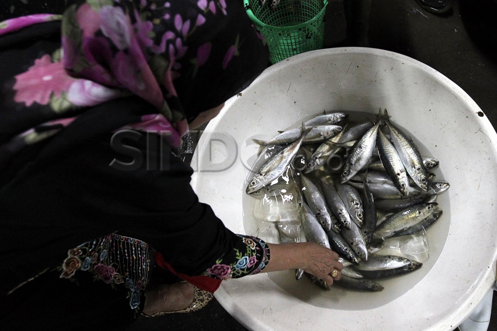 Stok Ikan Jelang Lebaran