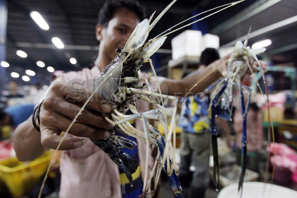Stok Ikan Jelang Lebaran