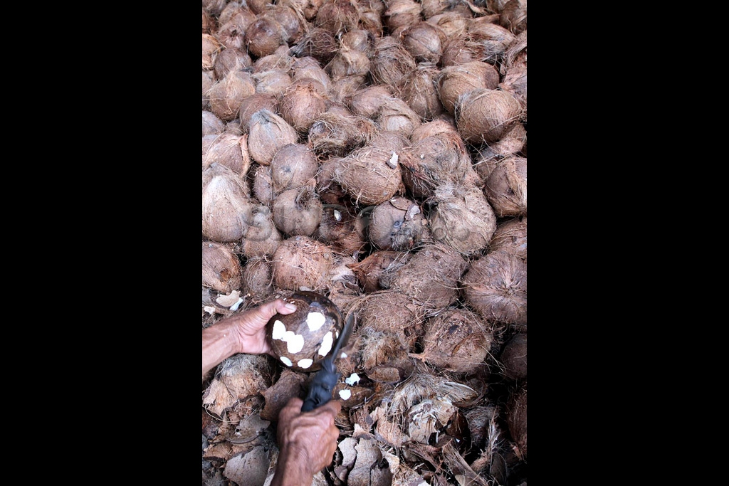 Produksi Dodol Meningkat