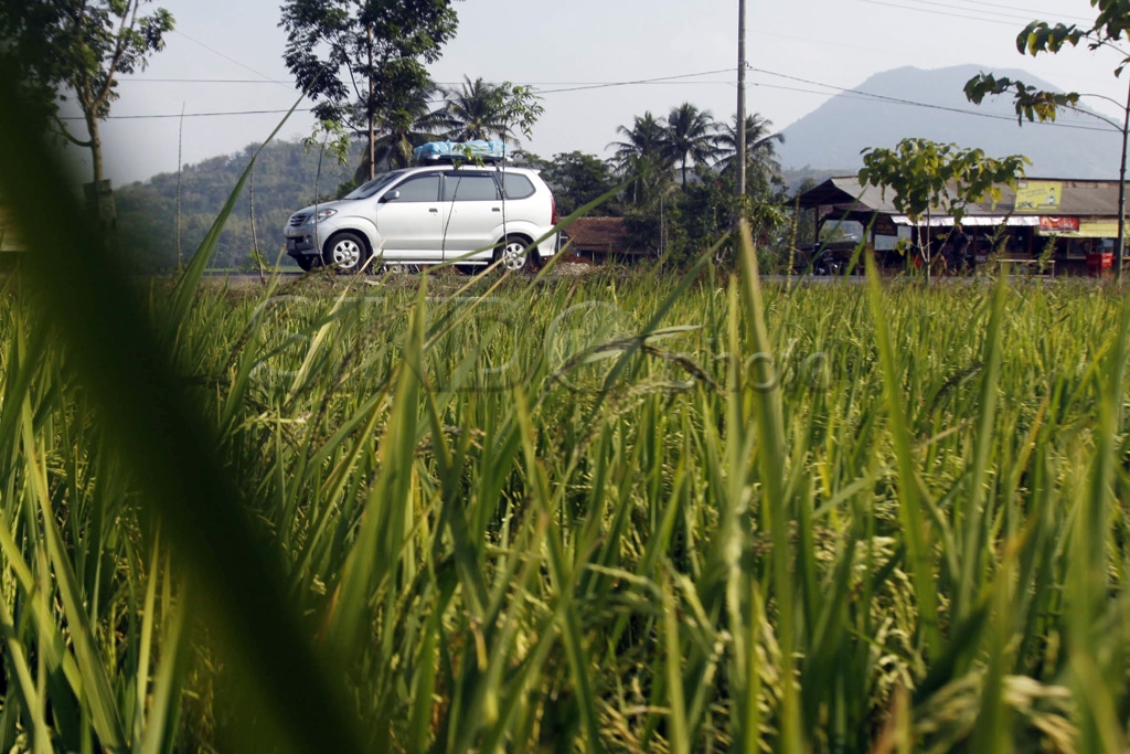 Jalur Limbangan