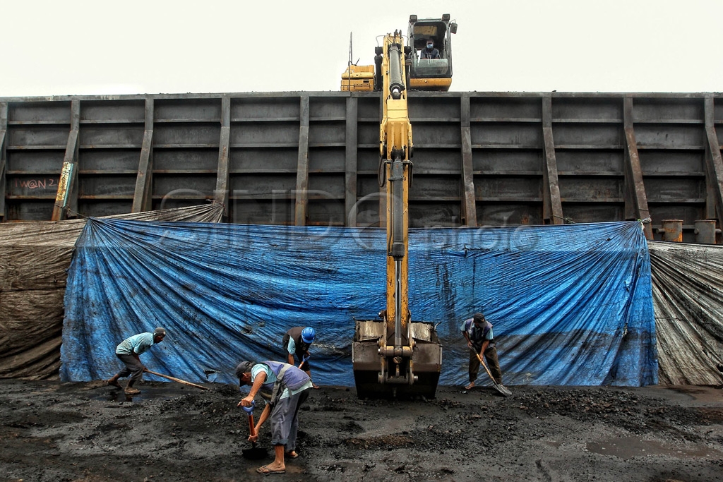 Harga Batubara