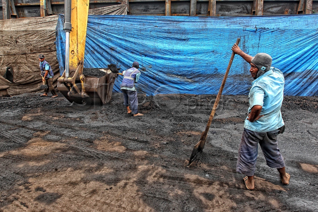 Harga Batubara