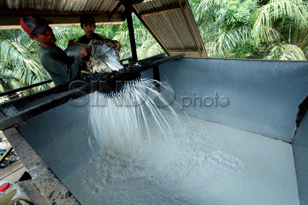 Kisah Petani Karet